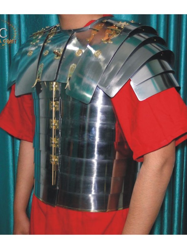 DSC-A107 SEGMENTATA LORICA NEWSTEAD