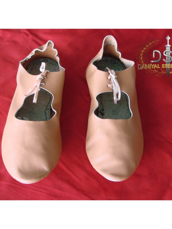 Product Code: DSC-F129