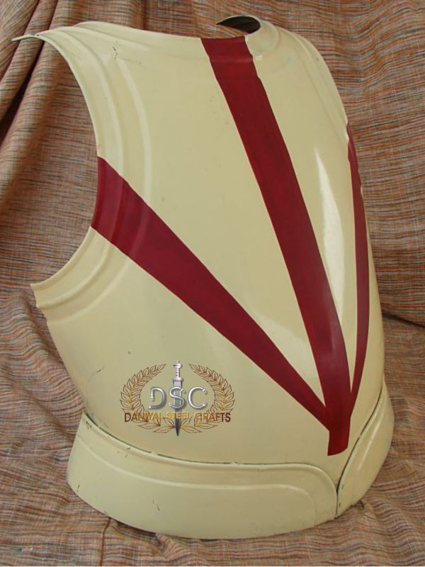 DSC-A133 BREAST PLATE
